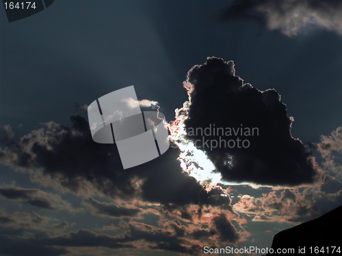 Image of Butterfly sky