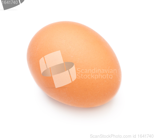 Image of Brown Egg