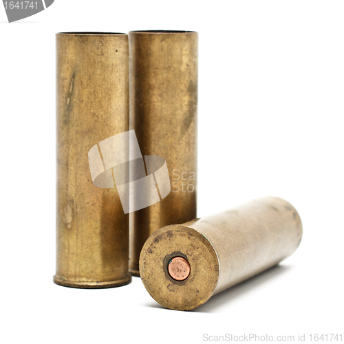 Image of Shotgun Cartridges