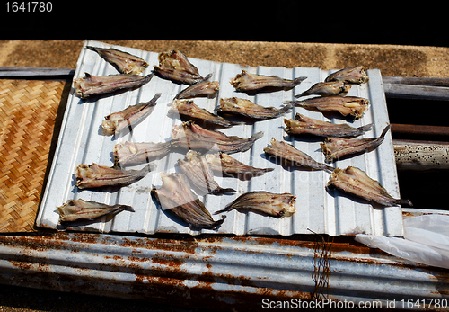 Image of Small Dry Fish
