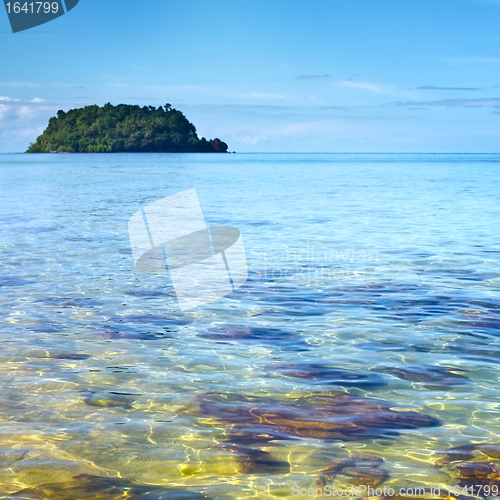 Image of tropical beach