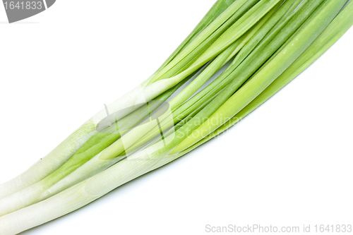 Image of Fresh Leek