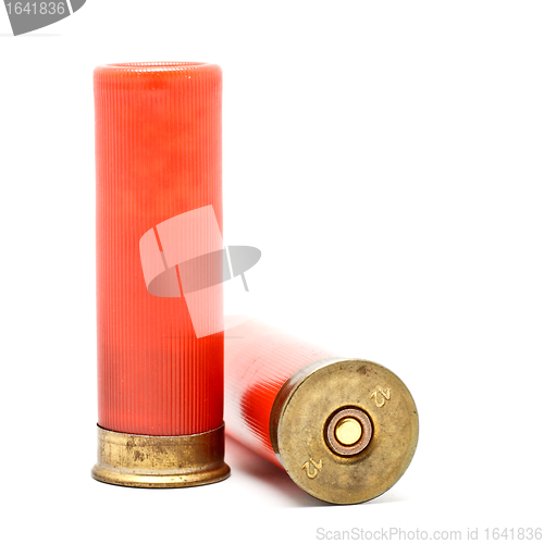 Image of Shotgun Cartridges