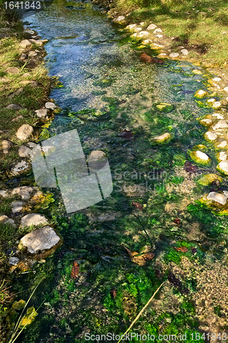 Image of Small Creek