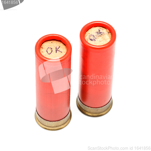 Image of Shotgun Cartridges