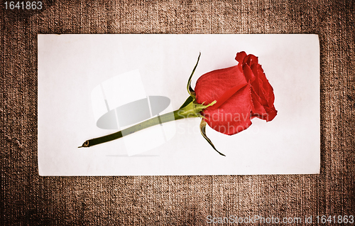 Image of Red Rose and Letter