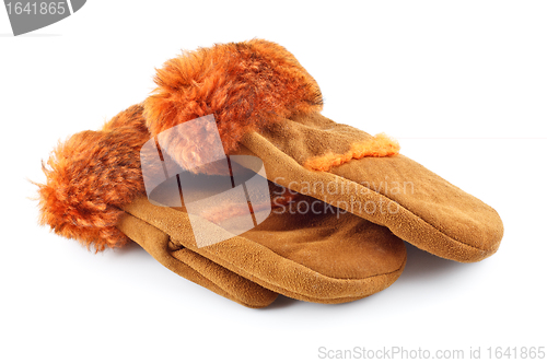 Image of Fur Mittens