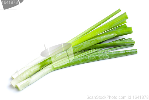 Image of Fresh Leek