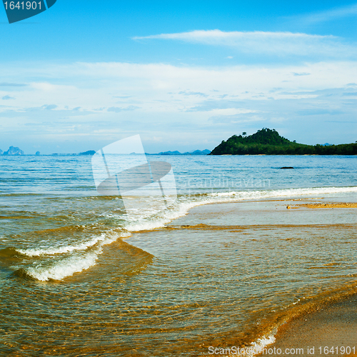 Image of tropical beach