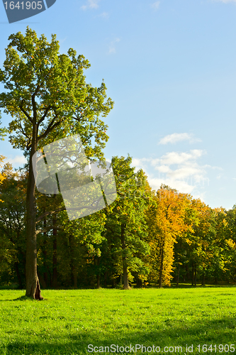 Image of Early Autumn