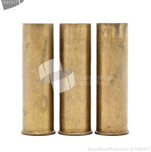 Image of Shotgun Cartridges