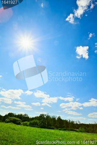 Image of Summer Landscape