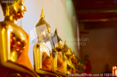 Image of Buddhas in Wat Po