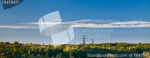 Image of Forest Panorama