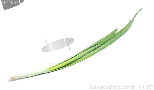 Image of Fresh Leek