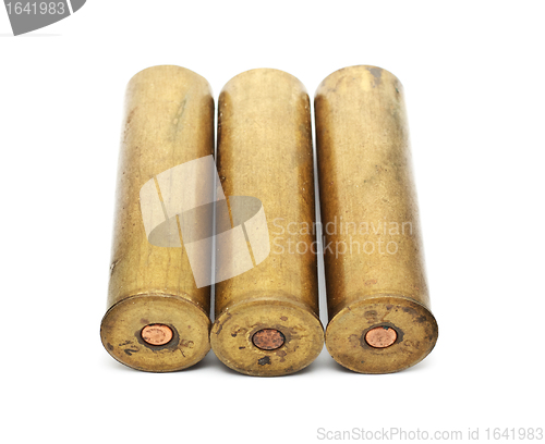 Image of Shotgun Cartridges