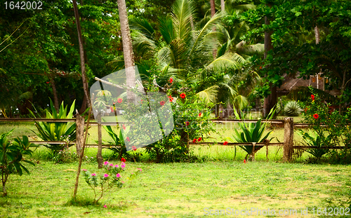 Image of Thai Nature