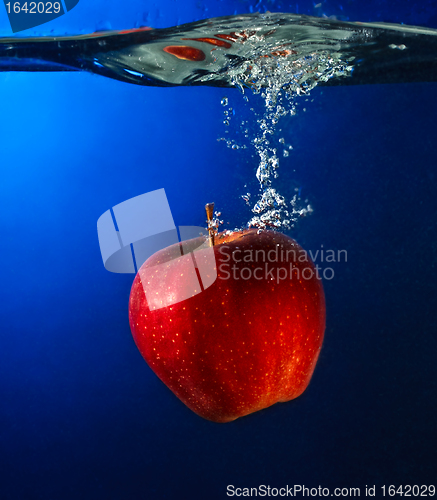 Image of Apple Falling To Water