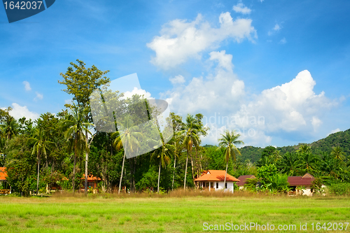 Image of Thai Landscape