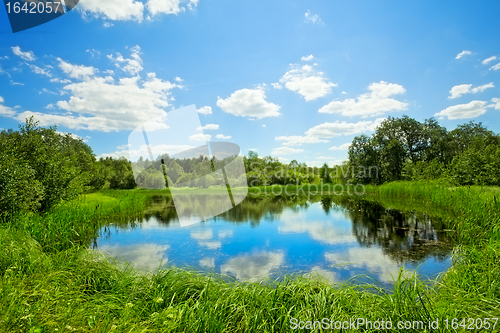 Image of Summer Landscape