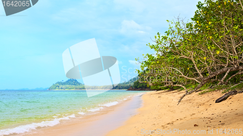 Image of Tropical Beach