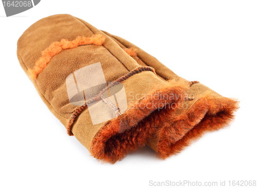 Image of Fur Mittens