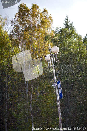 Image of Summer Rain