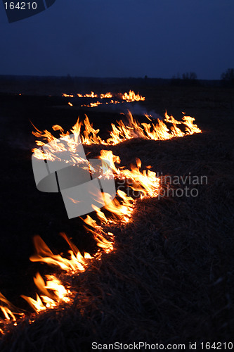 Image of night fire