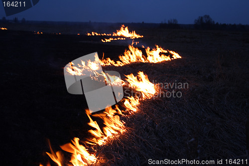 Image of night fire