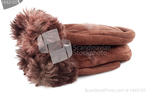 Image of Fur Mittens