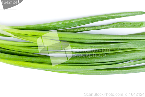 Image of Fresh Leek