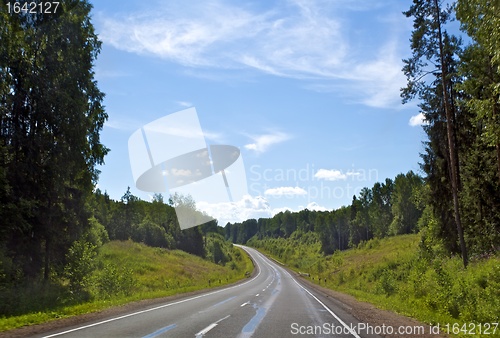Image of Forest Highway