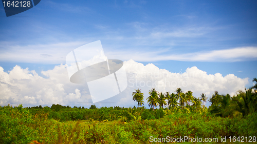 Image of Thai Landscape