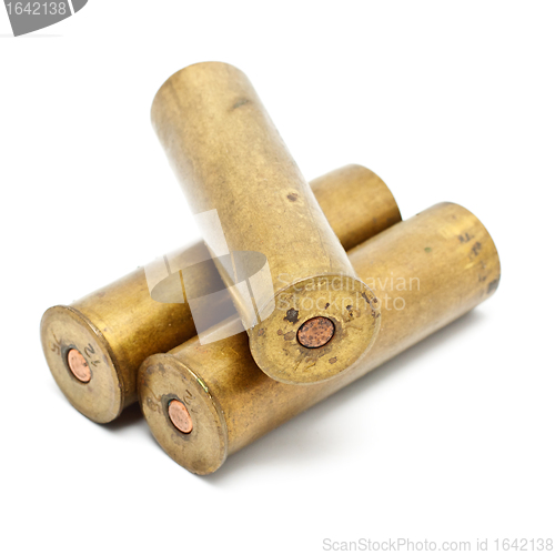 Image of Shotgun Cartridges