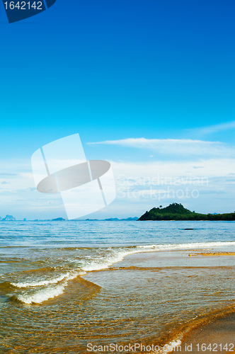 Image of tropical beach