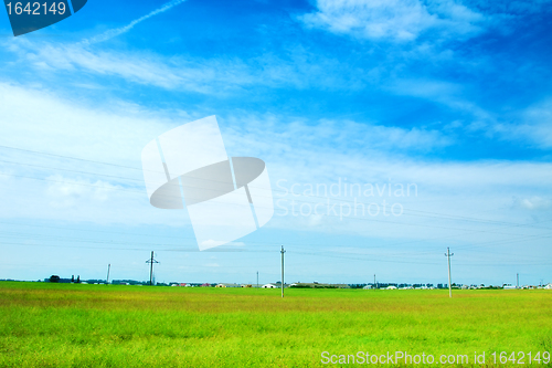 Image of Sunny Meadow