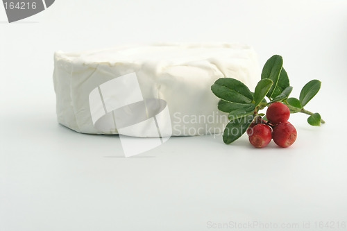 Image of cheese