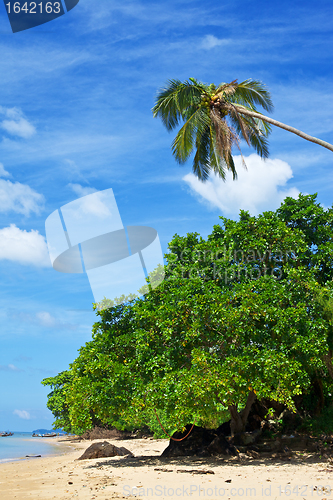 Image of Tropic Beach