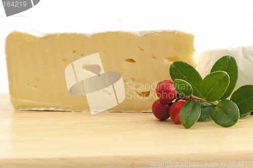 Image of cheese