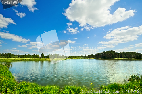 Image of Summer Landscape