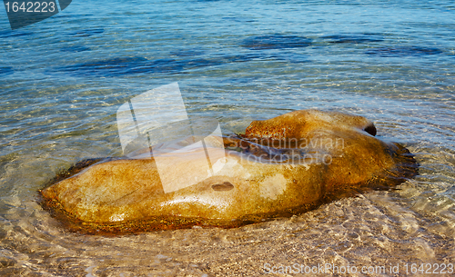 Image of Stone in a Sea