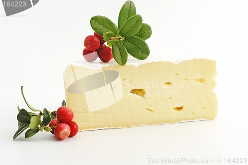 Image of cheese