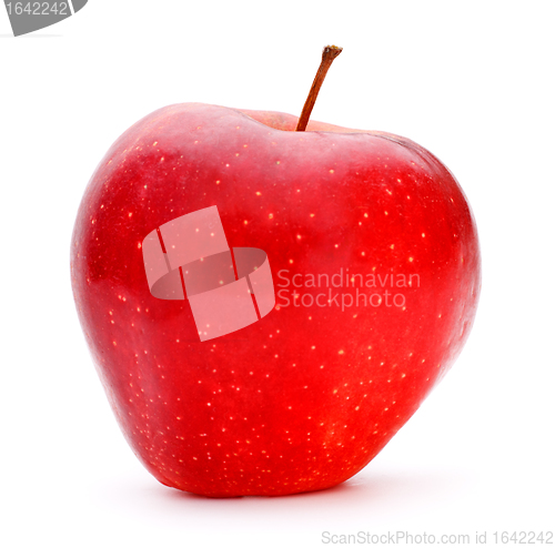 Image of Red Apple