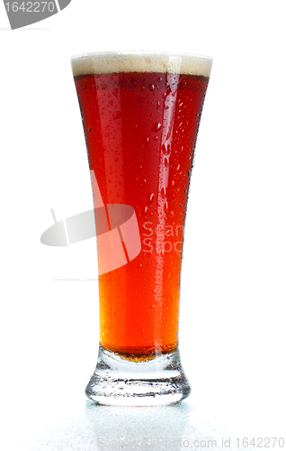 Image of Glass of Beer