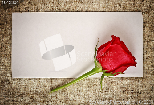 Image of Red Rose and Letter