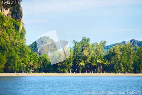 Image of Andaman Shore