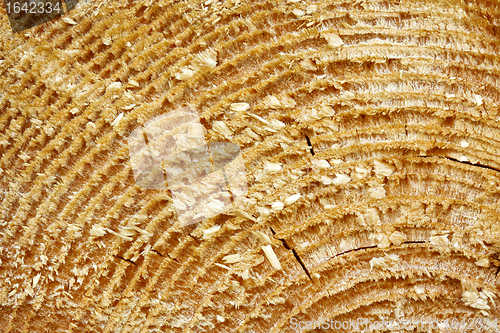 Image of Texture of Old Wood