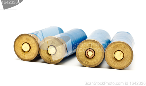 Image of Shotgun Cartridges