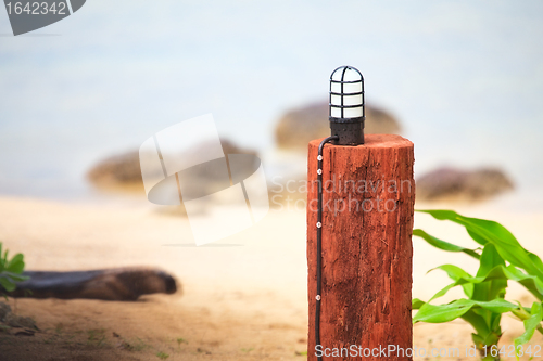 Image of Lamp on a Stump