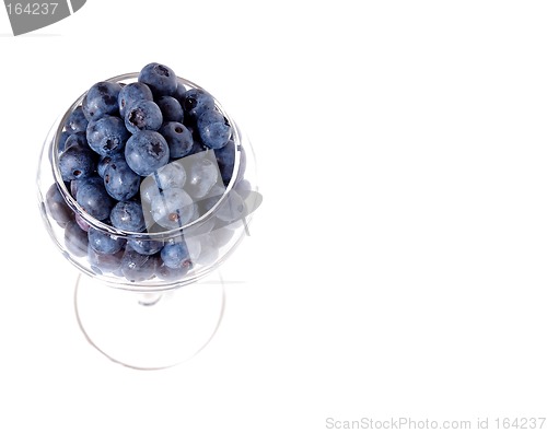 Image of Blueberries